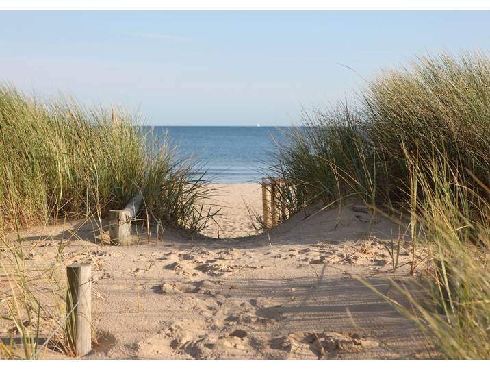 Fototapete PAPERMOON Dunes in Dorset , bunt, B:2m L:1,49m, Vlies, Tapeten, Fototapete