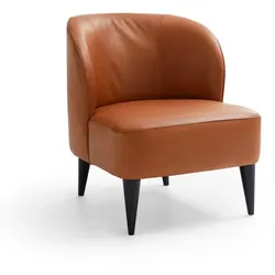 Sormani Sessel Latina Anzio Leder Braun Cognac