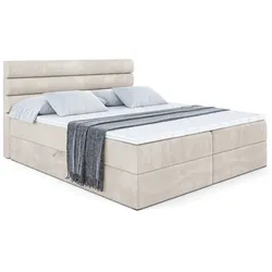 BOXBETT mit Matratze H3 und Lattenrost - CELESTIA - 160x200 cm Ecru
