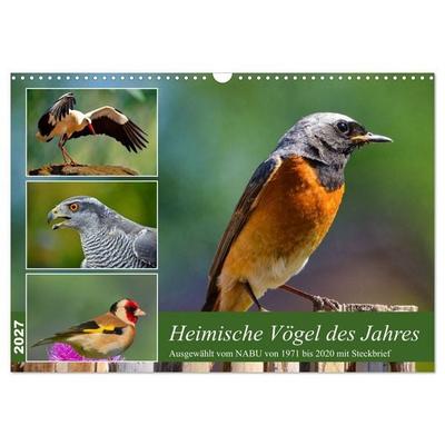 Heimische Vögel des Jahres (Wandkalender 2027 DIN A3 quer), CALVENDO Monatskalender