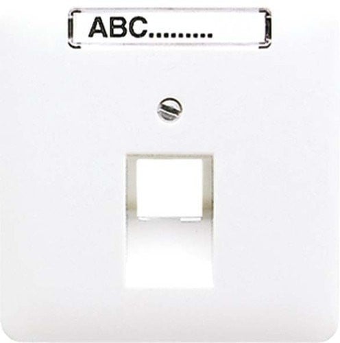 Jung CD569-1NAUAWW afdekking voor IAE/UAE-aansluitdoos