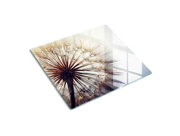 Glasschneidebrett 60x52 cm Antibakteriell Dünn Glasplatte für die Küche Rutschfest Silikonfüße Dekorativ Plastikfrei Gehärtetes Glas Hitzebeständig Lebensmittelecht - Löwenzahn