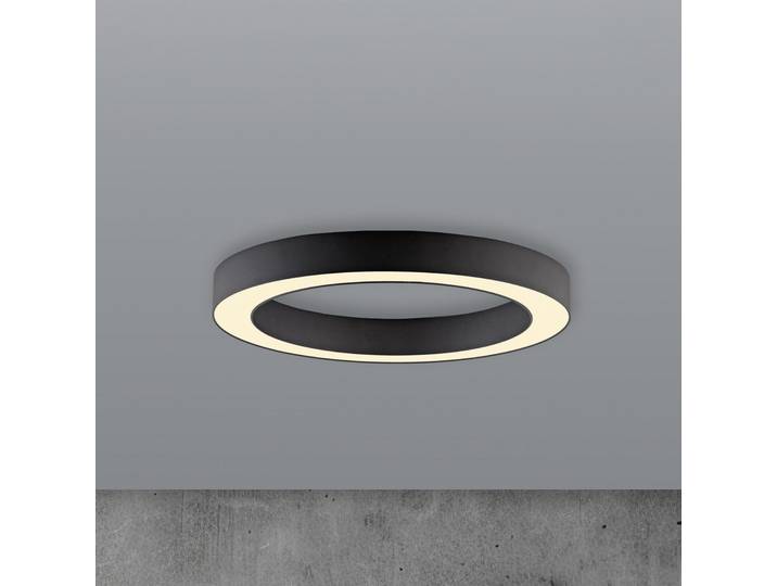 Lines LED-Deckenlampe, Ø 35 cm, graphit, CCT, Remote - PURE - Wohnzimmer - Modern - Metall - Rund
