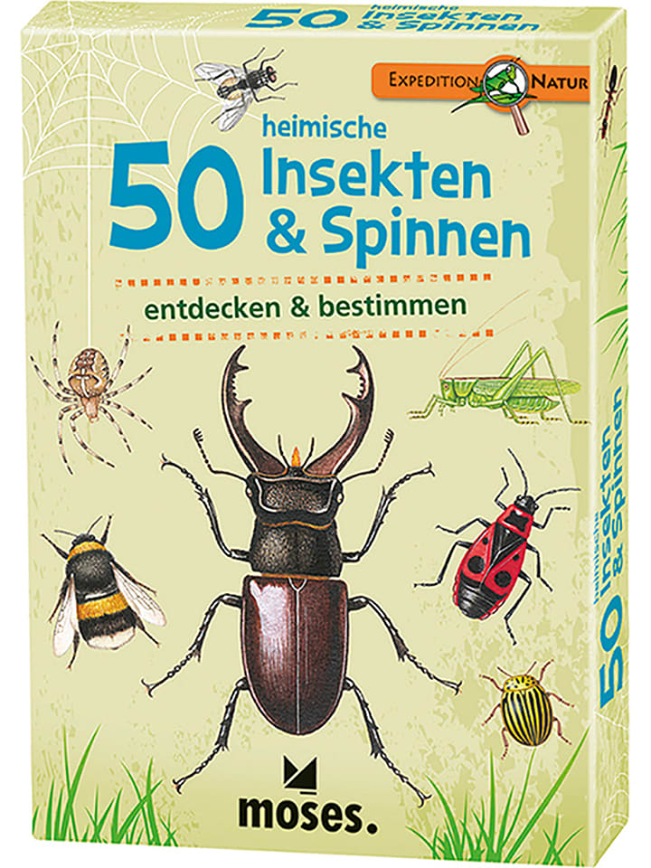 moses. Kartenset "50 heimische Insekten & Spinnen" - ab 6 Jahren - onesize