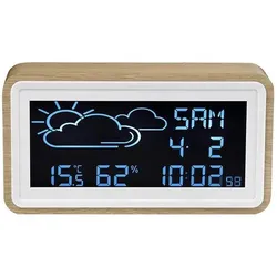 Denver WS-72, Wetterstation, Braun