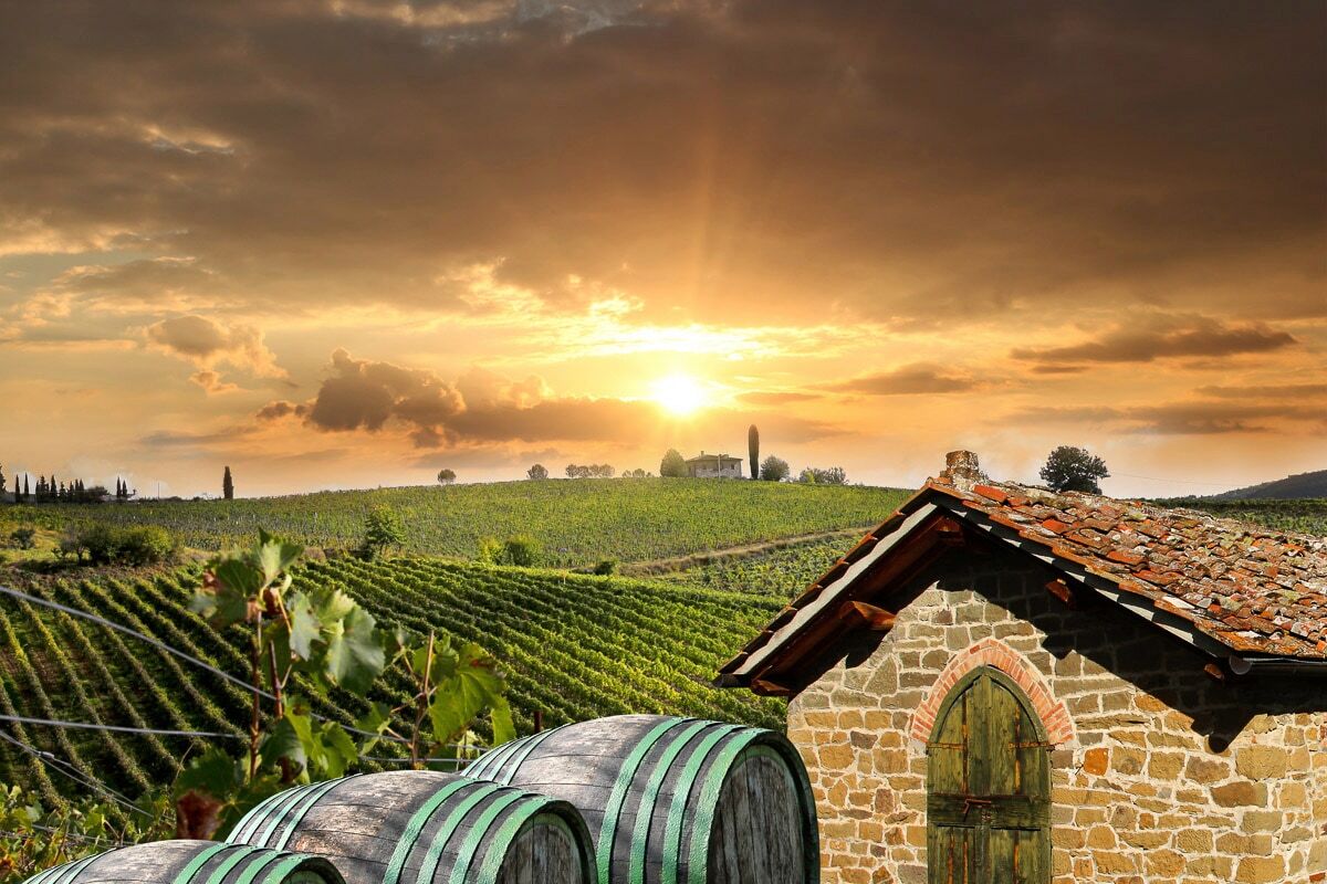 Fototapete PAPERMOON "Wein Felder", bunt, B:2m L:1,49m, Vlies, Tapeten, Fototapete