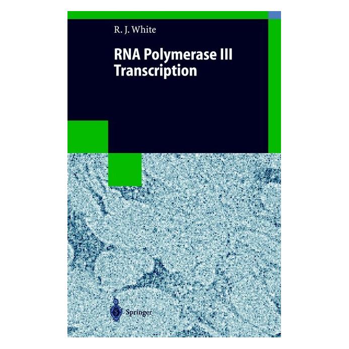 Springer RNA Polymerase III Transcription (Englisch, Softcover, Robert J White) (55530841)
