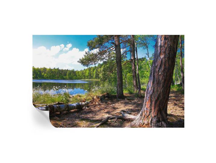 Wallfluent Fototapete 416x254 cm - Waldlandschaft, Grün, 416x254 cm, Tapeten & Wandverkleidungen, Fototapeten