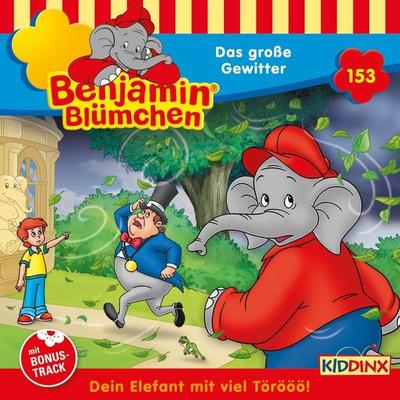 Das große Gewitter - Vincent Andreas, Audio, 4033694255537