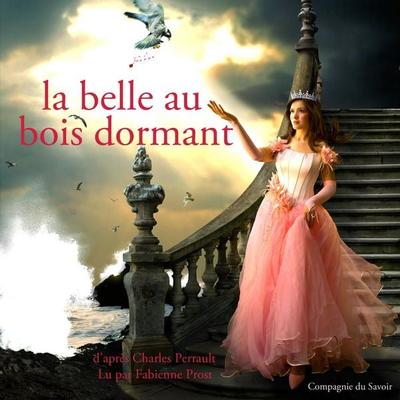 La belle au bois dormant de Charles Perrault - Charles Perrault, Audio, 9782821110250