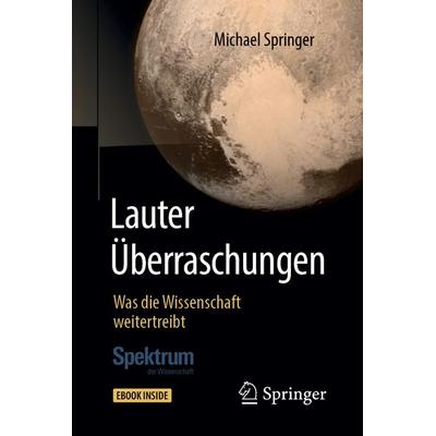 Lauter Überraschungen, Set von Michael Springer, Springer Berlin, 978-3-662-58228-2