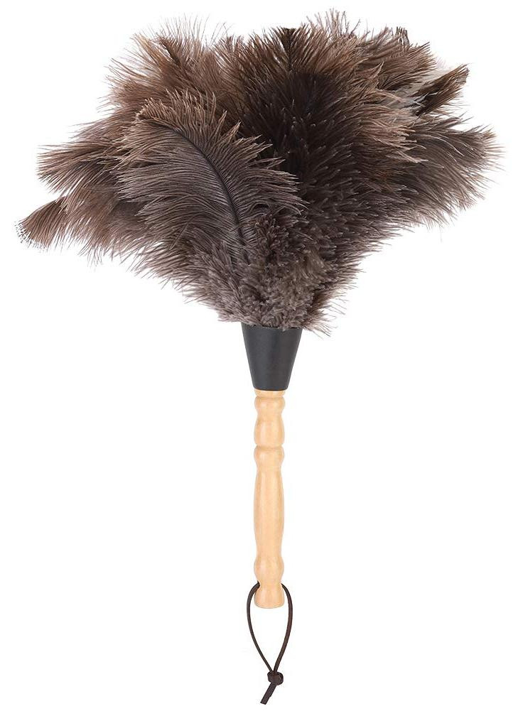 Dripio Antistatische Stofwisser met Veren en Houten Handvat, Wasbaar, 34 cm