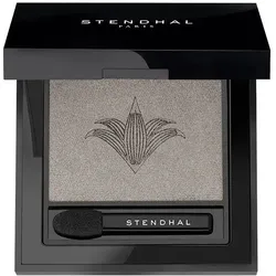 Stendhal Magnifying Eyeshadow 501 Platine 2.5g