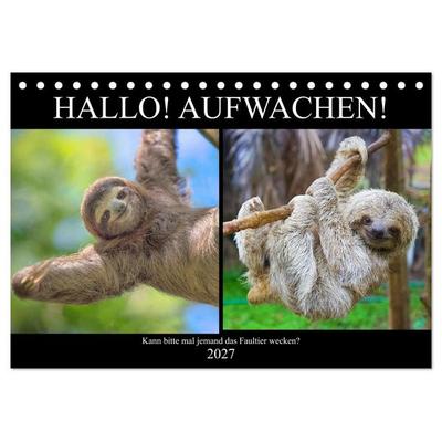 Hallo! Aufwachen! Kann bitte mal jemand das Faultier wecken? (Tischkalender 2027 DIN A5 quer), CALVENDO Monatskalender