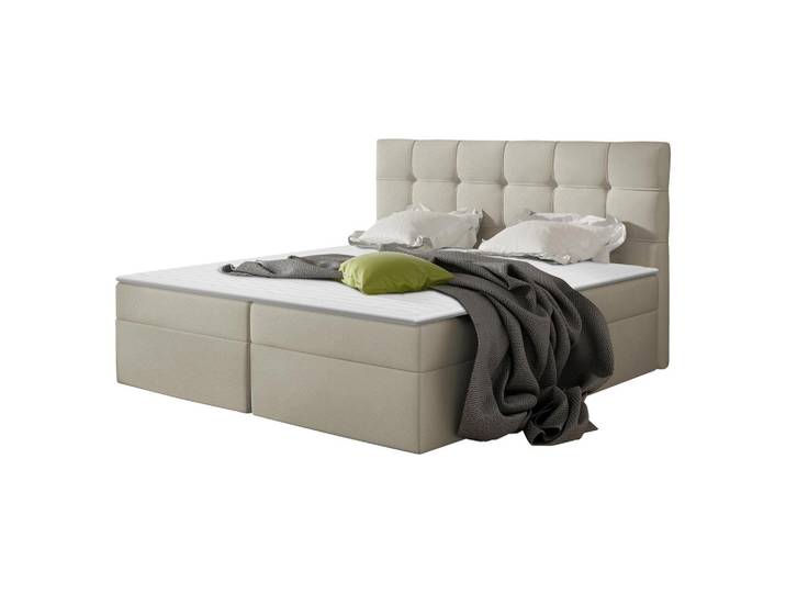 BOXBETT Nele - H3