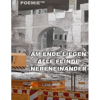Am Ende liegen alle Feinde nebeneinander, Taschenbuch von Tom de Toys, BoD – Books on Demand, 978-3-7583-0800-0