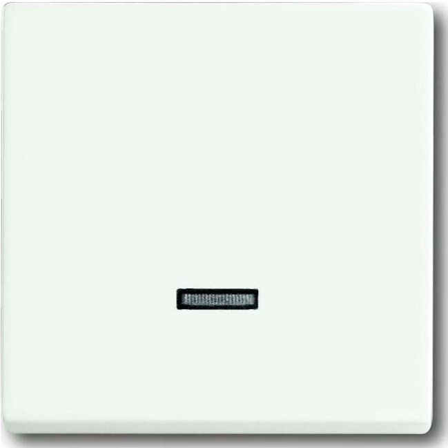 Busch-Jaeger Élément de commande Memory 6543-884-101 (2CKA006599A2963)