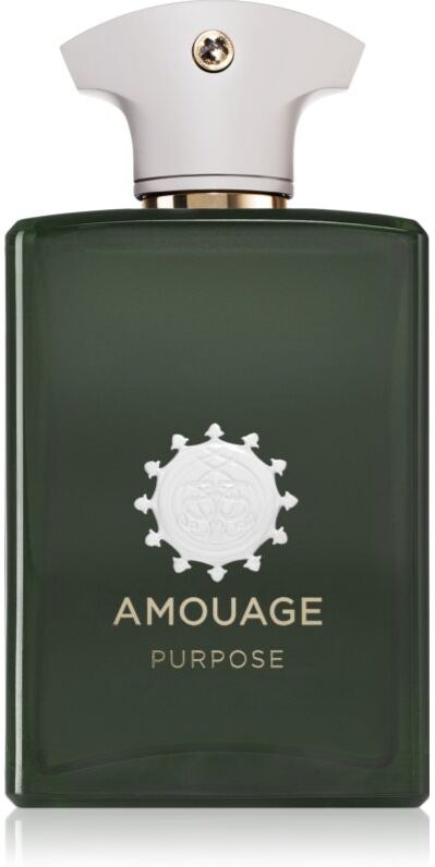 Amouage Purpose Eau de Parfum unisex 100 ml