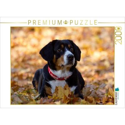 CALVENDO Puzzle Entlebucher Sennenhund | 2000 Teile Lege-Größe 90 × 67 cm Foto-Puzzle für glückliche Stunden, von , Calvendo Puzzle