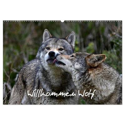Willkommen Wolf (Wandkalender 2027 DIN A2 quer), CALVENDO Monatskalender
