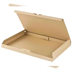 VEPATIM 25x Versandkarton 340x250x20mm schnelle Aufrichtung mit Steckverschluss Großbrief Maxibrief  A4 B4 braun