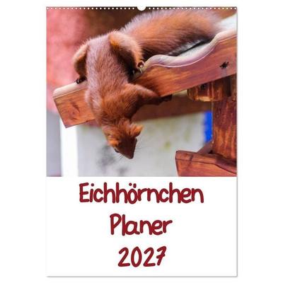 Eichhörnchen Planer 2027 (Wandkalender 2027 DIN A2 hoch), CALVENDO Monatskalender