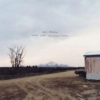 Wire Mountain - Will Johnson, Vinyl