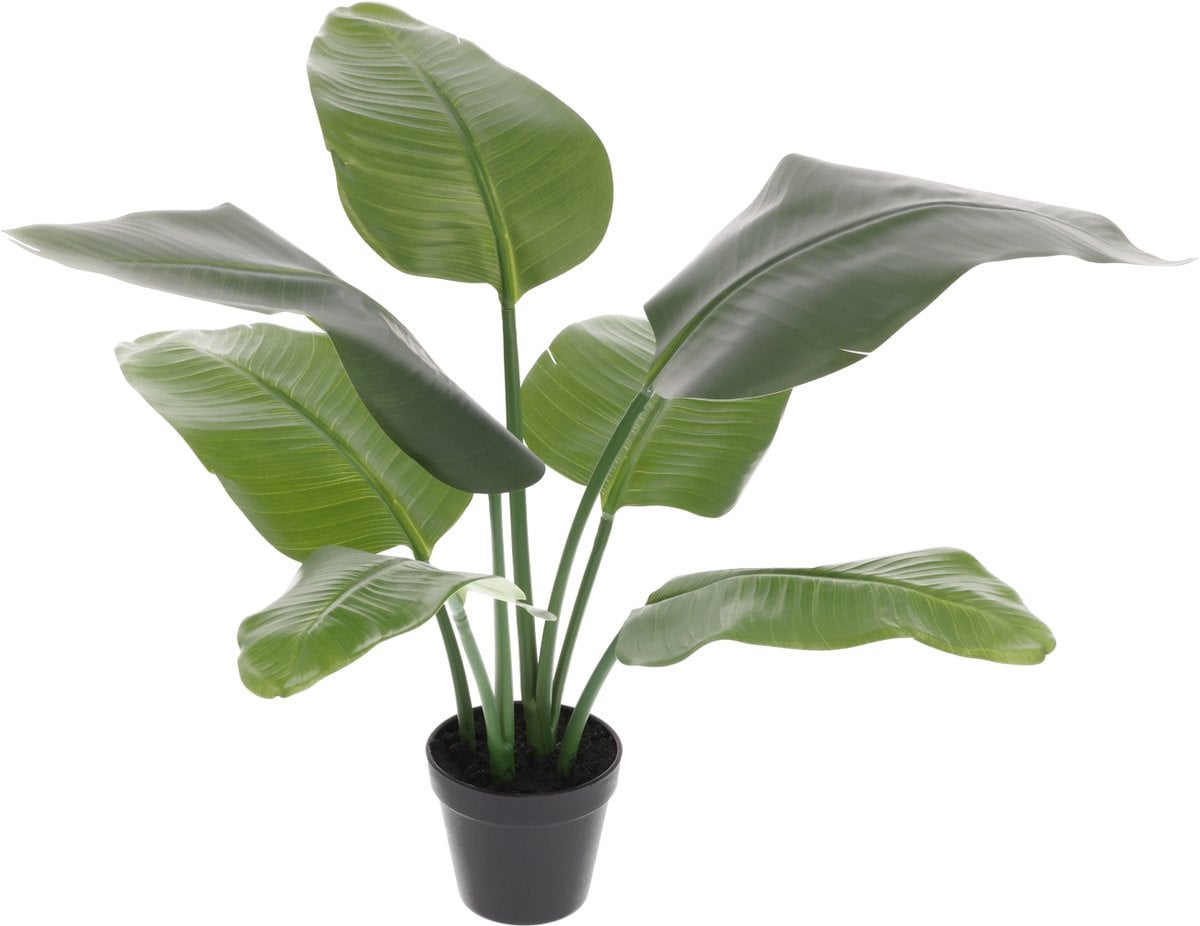 Maxifleur Strelitzia Nicolai kunstplant, 60 cm