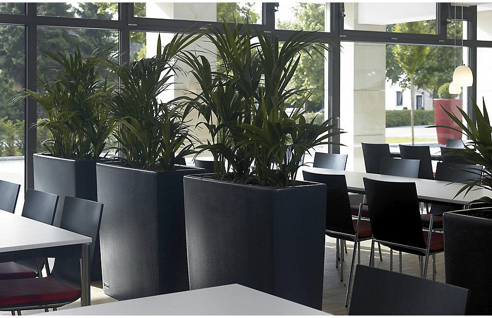 Pflanzbehälter, TREVIA 900K, HxBxT 900 x 900 x 390 mm, anthrazit DEGARDO