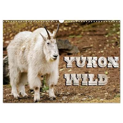 Yukon Wild (Wall Calendar 2026 DIN A3 landscape), CALVENDO 12 Month Wall Calendar
