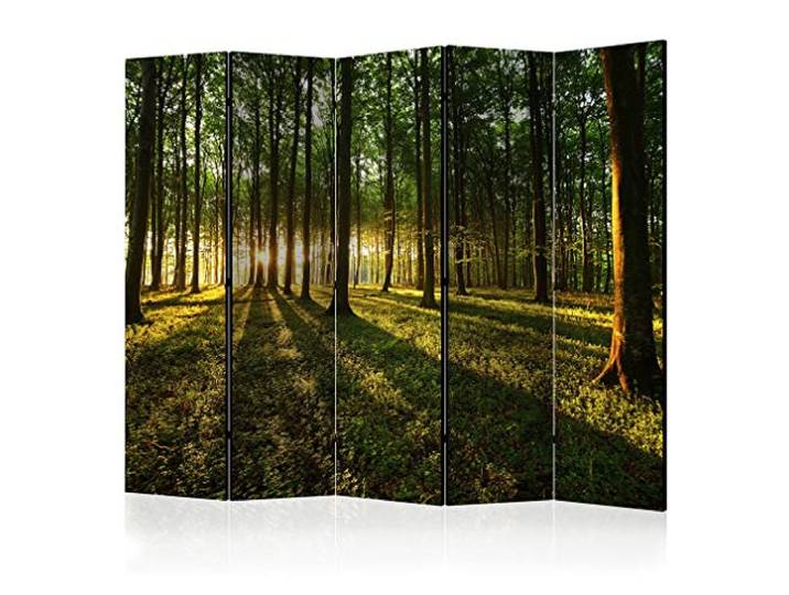 decomonkey Paravent Raumteiler Innen Wald, 225x172 cm, 5-teilig, Beidseitig Baum, Sonne, Wohnzimmer, Room Divider, Wall, Raumteiler Stehend, Trennwand, Sichtschutz, Spanische Wand, Sichtschutzwand