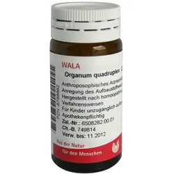 Organum Quadruplex Globuli 20 g