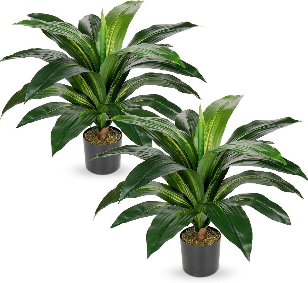 Set van 2 Grote Kunstplanten Drakenboom in Pot voor Moderne Decoratie