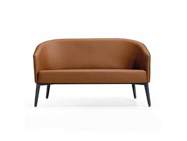 Xlmoebel 2-Sitzer Design-Ledersofa für Wartezimmer in Braun, Lounge Möbel, Sofa 1 Teile, Made in Europa