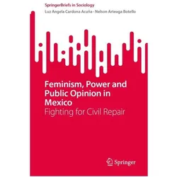 Feminism, Power and Public Opinion in Mexico, Fachbücher von Nelson Arteaga Botello, Luz Angela Cardona Acuña