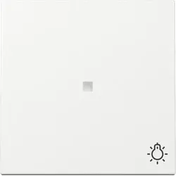 Gira Wippe mit Kontrollfenster mit Symbol Licht (reinweiß, glänzend)