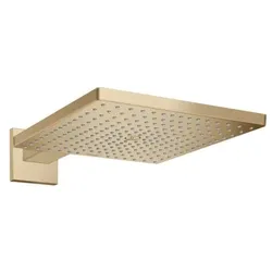 Hansgrohe Raindance E Kopfbrause Gebürstete Bronze 26238140