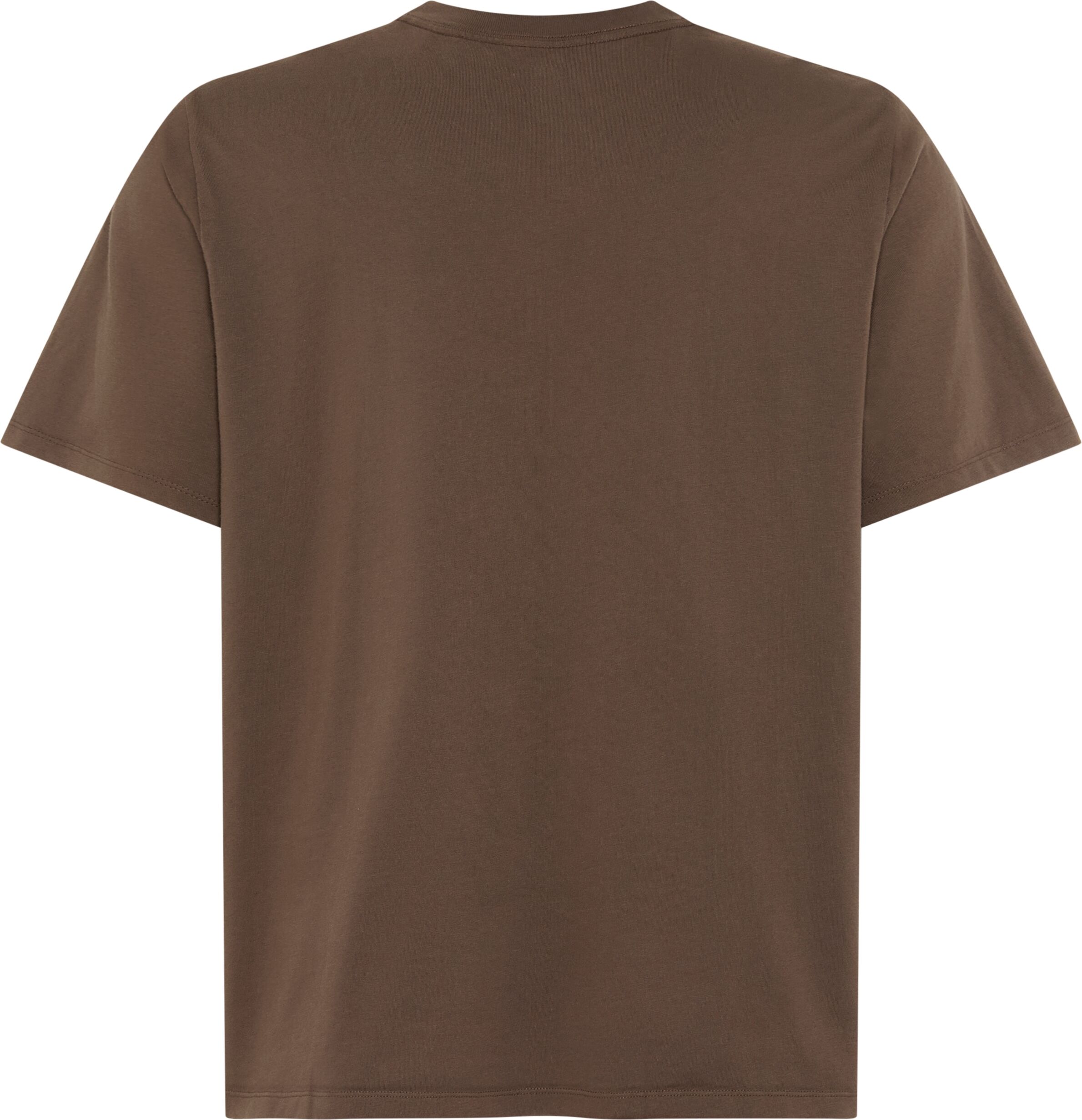 T-Shirt LEVI'S PLUS "LSE B&T BIG GRAPHIC TEE", Herren, Gr. XL (60/62), braun (levi's american legend 6 maitake braun body), Jersey, Obermaterial: 100% Baumwolle, regular fit normal, Rundhals, Shirts T-Shirt, mit Logostickerei auf der Brust levi's american