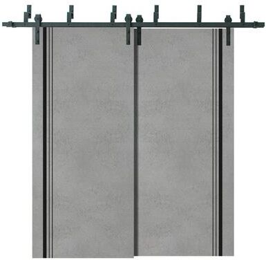SARTODOORS Planum 0011 Concrete Wood Barn Bypass Doors