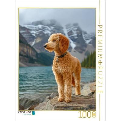 CALVENDO Puzzle Ich wollte ein Abenteuer und jetzt bin ich mittendrin | 1000 Teile Lege-Größe 64x48cm Foto-Puzzle für glückliche Stunden