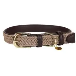 Kentucky Dogwear geflochtenes nylon-halsband für hunde kentucky (Hund, Spazieren), Halsband + Leine