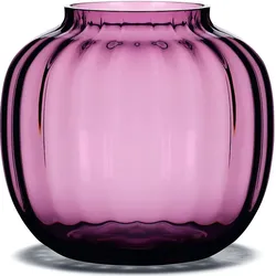 Primula Vase niedrig pflaumenfarben