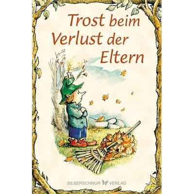 Trost beim Verlust der Eltern, Taschenbuch von Daniel Fitzpatrick, Silberschnur, 978-3-89845-669-2