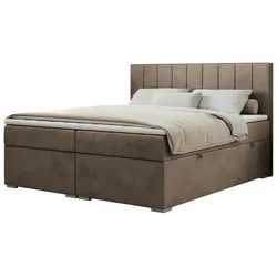 Boxbett mit Bettkasten  ¦ braun ¦ Maße (cm): B: 120 H: 118