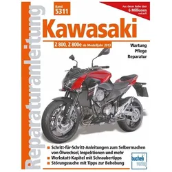 Kawasaki Z 800, Z 800e, Ratgeber