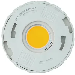 Rutec 21941 LED Austausch-Modul, 3000K, CRI80 Zubehör CYRA+