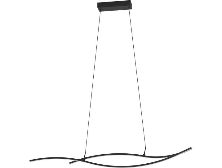 Suspension LED - 115 x 120 cm - 1 lampe - Noir - Blanc - Plastique - Métal