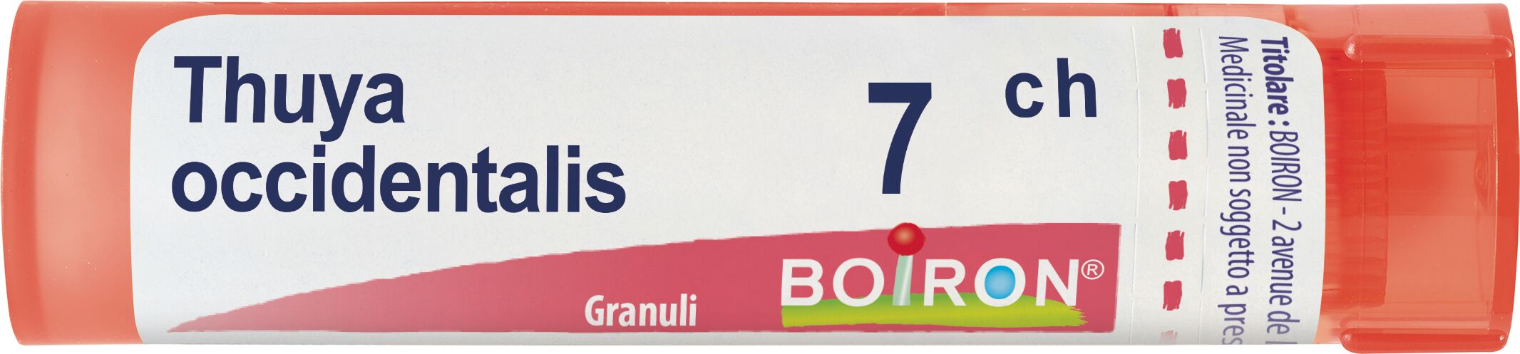 Thuya Occidentalis 7ch Granuli Multidose Boiron