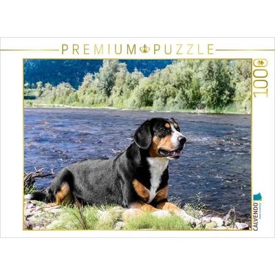 CALVENDO Puzzle Entlebucher Rüde am Fluss | 1000 Teile Lege-Größe 64x48cm Foto-Puzzle für glückliche Stunden