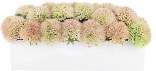 Creative Labs Dahlias in Fiberstone Planter - 7